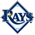 SUV limo service to Tampa Bay Rays Game.